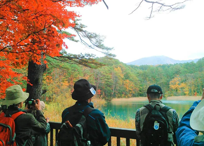 紅葉的五色沼澤和磐梯山