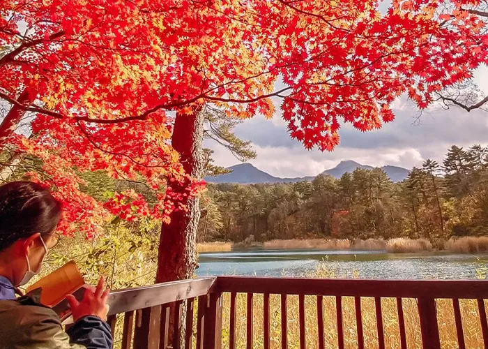 紅葉的五色沼