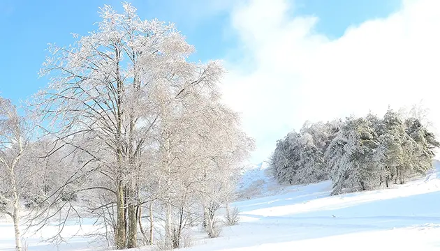 帶您去雪很美的地方。