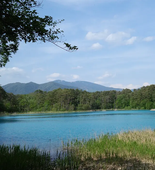 漫步五色沼澤和日原湖