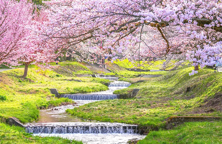 觀音寺川
