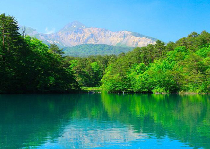 夏季活動示例/五色沼野餐。以郊遊的心情在五色沼散步。