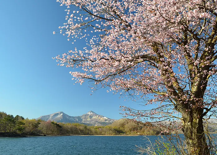 春檜原湖