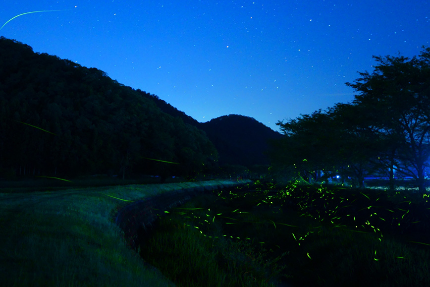 夜晚的尋寶和星空觀察會