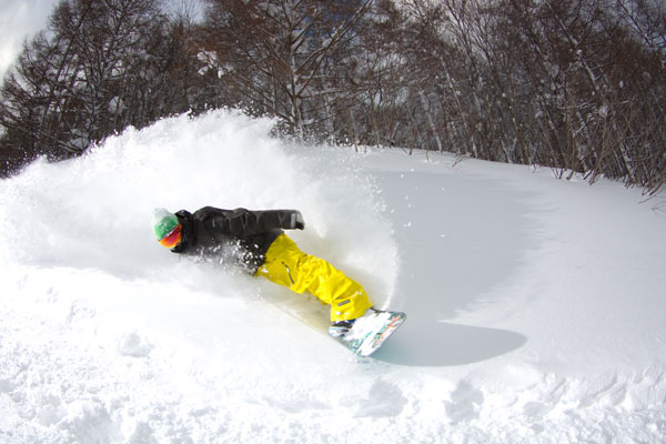 近鄰滑雪場開放信息