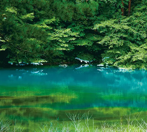 夏天