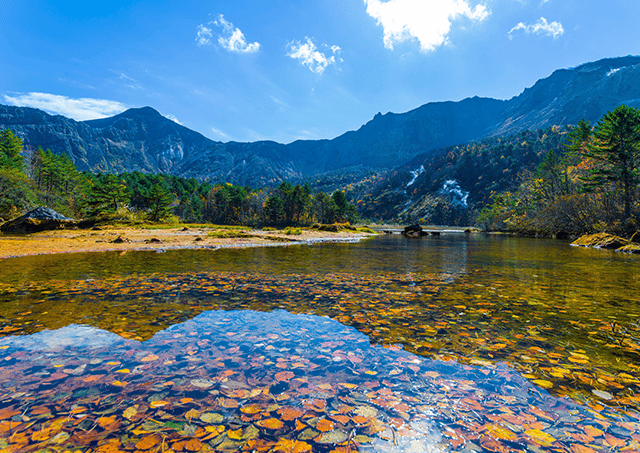 銅沼