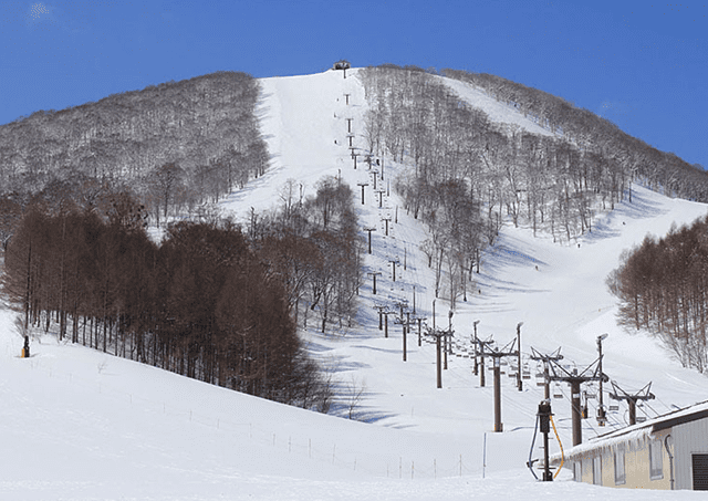 Hoshino Resorts山