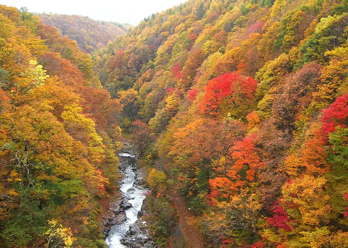 Nakatsugawa Valley